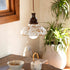 Belvin Pendant Light