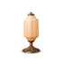 Blushora Table Lamp