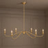 Brachis Chandelier