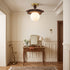 Briselle Semi-Flush Mount