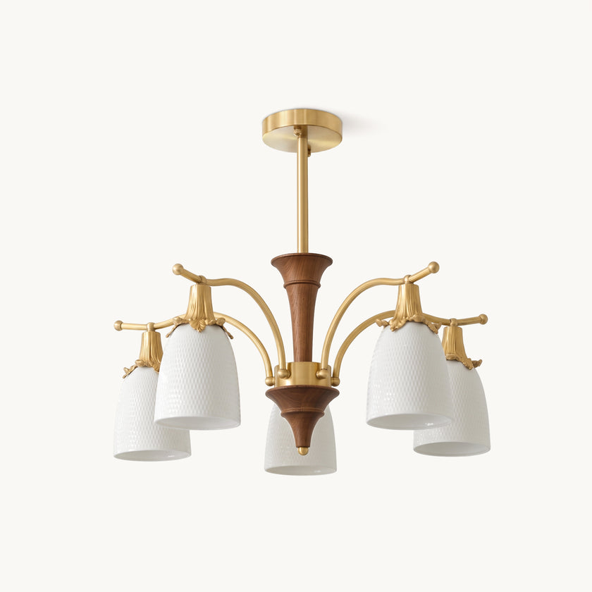 Calicella Chandelier