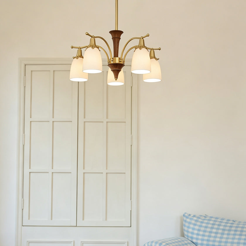 Calicella Chandelier