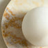 Calovelle Wall Sconce