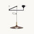 Cantivra Swing Arm Pendant Lamp