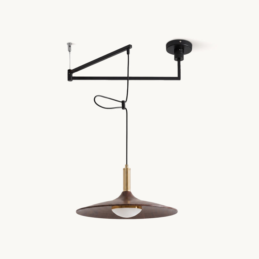Cantivra Swing Arm Pendant Lamp