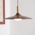 Cantivra Swing Arm Pendant Lamp