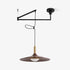 Cantivra Swing Arm Pendant Lamp