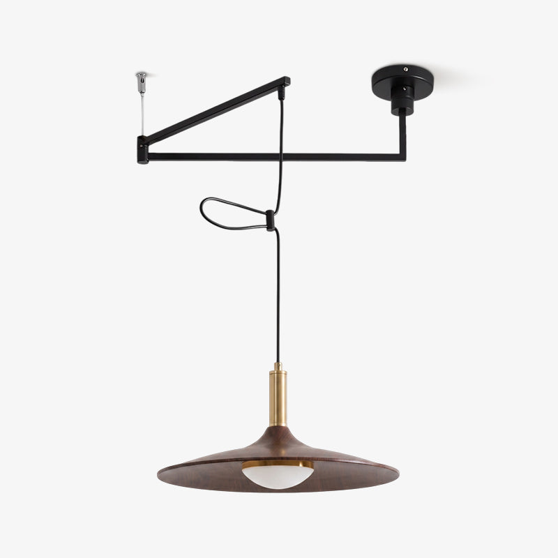 Cantivra Swing Arm Pendant Lamp