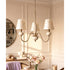 Whitmore Shell Chandelier