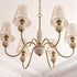 Whitmore Shell Chandelier