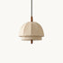 Domelle Pendant Light