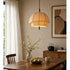 Domelle Pendant Light