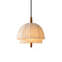 Domelle Pendant Light