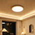 Ellison Semi-Flush Mount