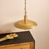 Halden Pendant Light