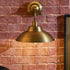Maeve Wall Sconce