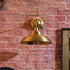 Maeve Wall Sconce