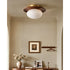 Mosairel Semi-Flush Mount