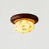 Mosairel Semi-Flush Mount