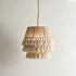 Noelia Pendant Light