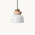 Oplivra Pendant Light