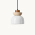 Oplivra Pendant Light