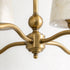 Orbinia Chandelier