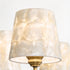 Orbinia Chandelier