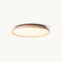 Orrivane Semi-Flush Mount