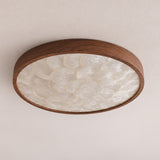 White Shells