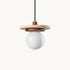 Pietrora Pendant Light
