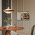 Pivotra Swing Arm Pendant Lamp