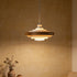 Pivotra Swing Arm Pendant Lamp