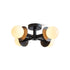 Pursa Ceiling Light