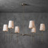 Radiatina Chandelier