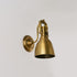 Remus Wall Sconce
