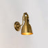 Remus Wall Sconce