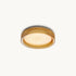 Rivelisse Semi-Flush Mount