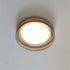 Rivelisse Semi-Flush Mount