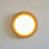 Rivelisse Semi-Flush Mount