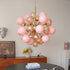 Saski Chandelier