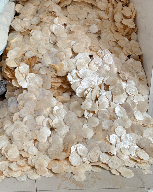 Selecting Natural Shells