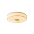 Serelune Semi-Flush Mount