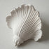 Shellavere Wall Sconce