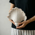 Shellavere Wall Sconce