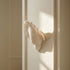 Shellavere Wall Sconce