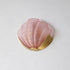 Shelloria Wall Sconce