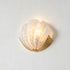 Shelloria Wall Sconce