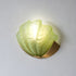 Shelloria Wall Sconce