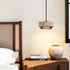 Torvane Pendant Light